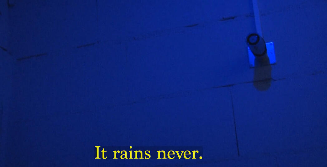 Documentation of the VViP Festival (Work in Progress Festival) that took place on 6th of July 2019 in Frankfurt LAB