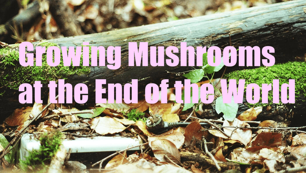 analogue stop motion short film of a micro wave growing out of moss